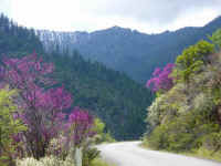 trinity-alps-spring-colors.jpg (191536 bytes)